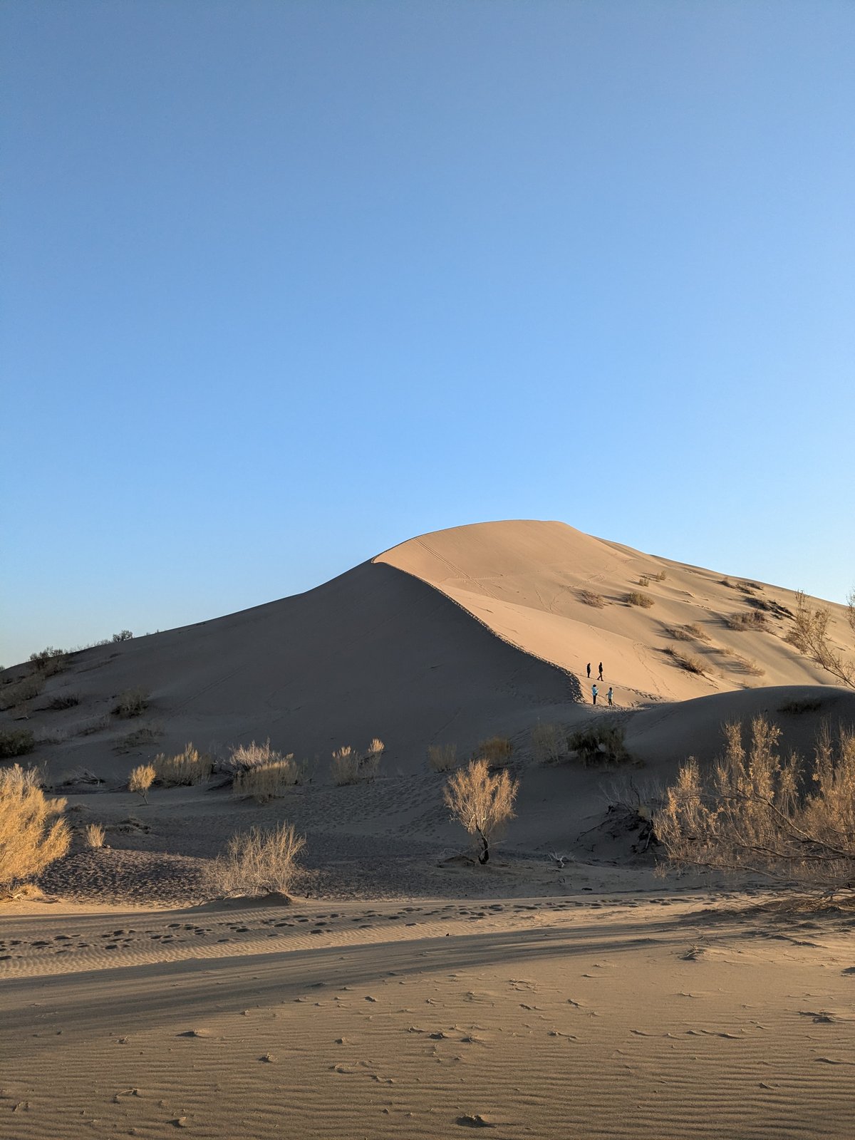 Singing Dune at golden hour with visitors on the ridge — Altyn-Emel National Park