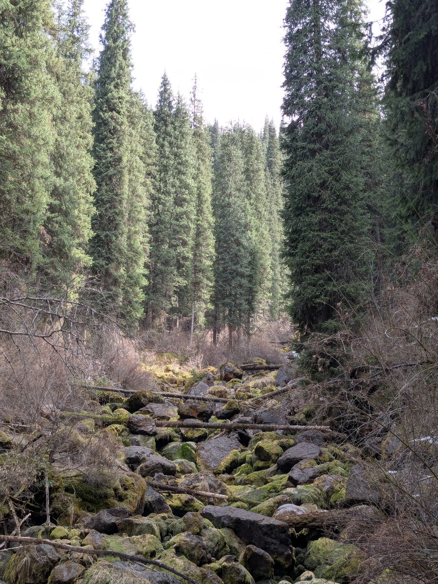 Gallery image 1 — Southeast Kazakhstan landscape