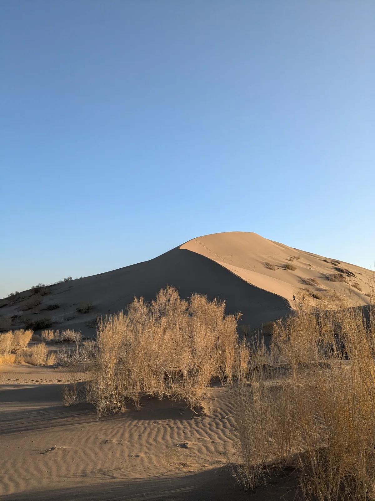 The Singing Dune of Altyn-Emel National Park, viewed from the valley floor