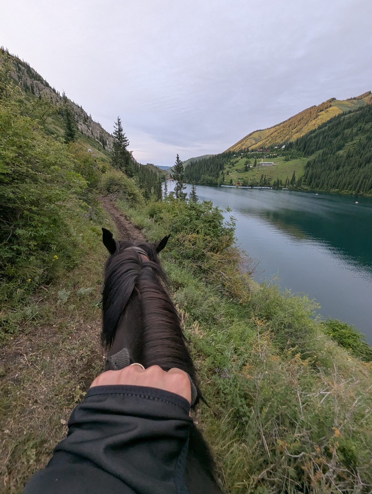 Horses at the Lower Kolsai trailhead, used for rides up to Middle Kolsai