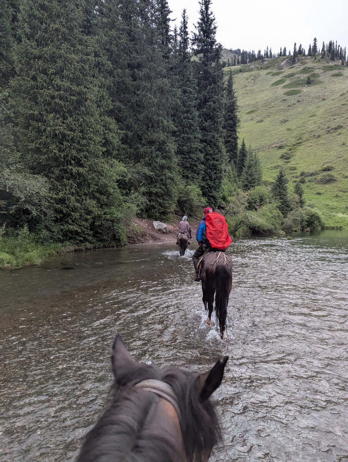 Horses with riders on the Kolsai trail between Lower and Middle lakes