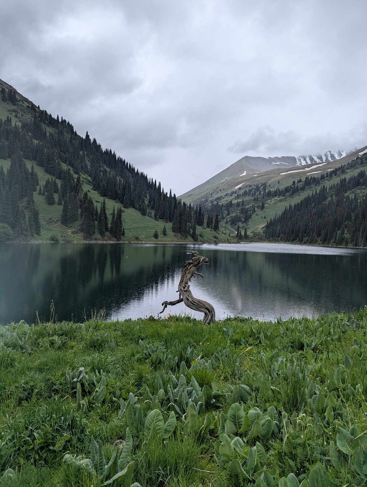 Upper Kolsai Lake at 2,700 metres, surrounded by pine forest in the Kungey Alatau range