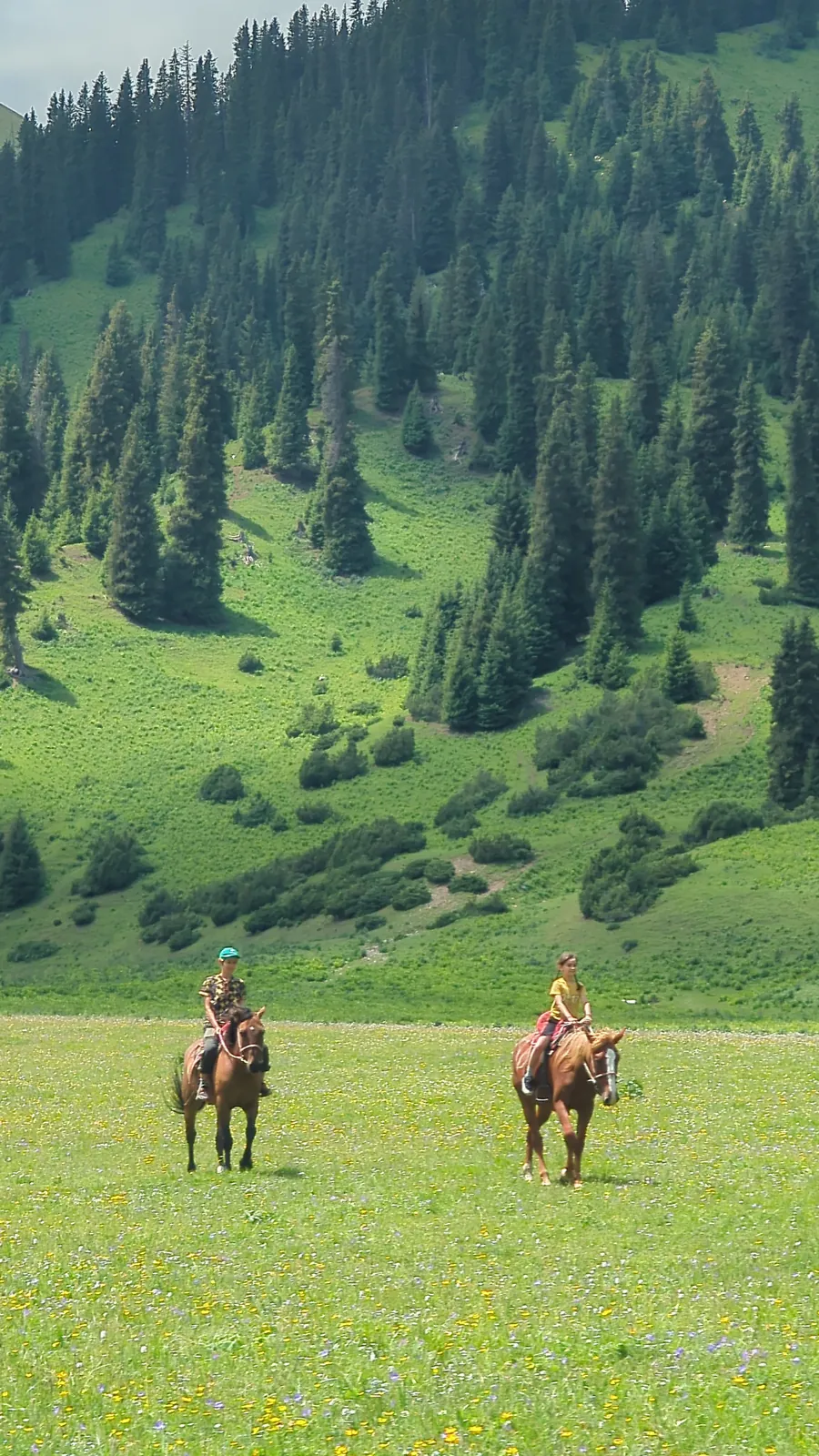 Two riders on horseback crossing a wildflower meadow with forested mountainside behind