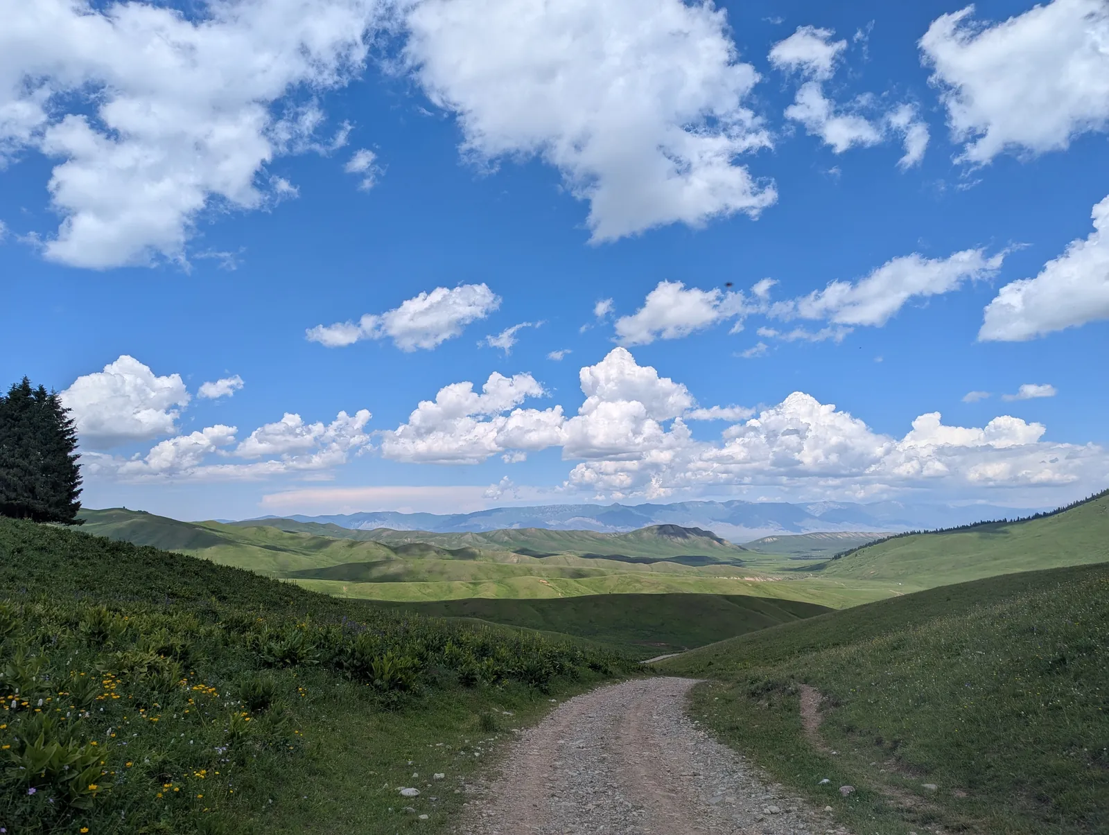 An unpaved road winding through rolling green hills under a wide cloud-streaked sky