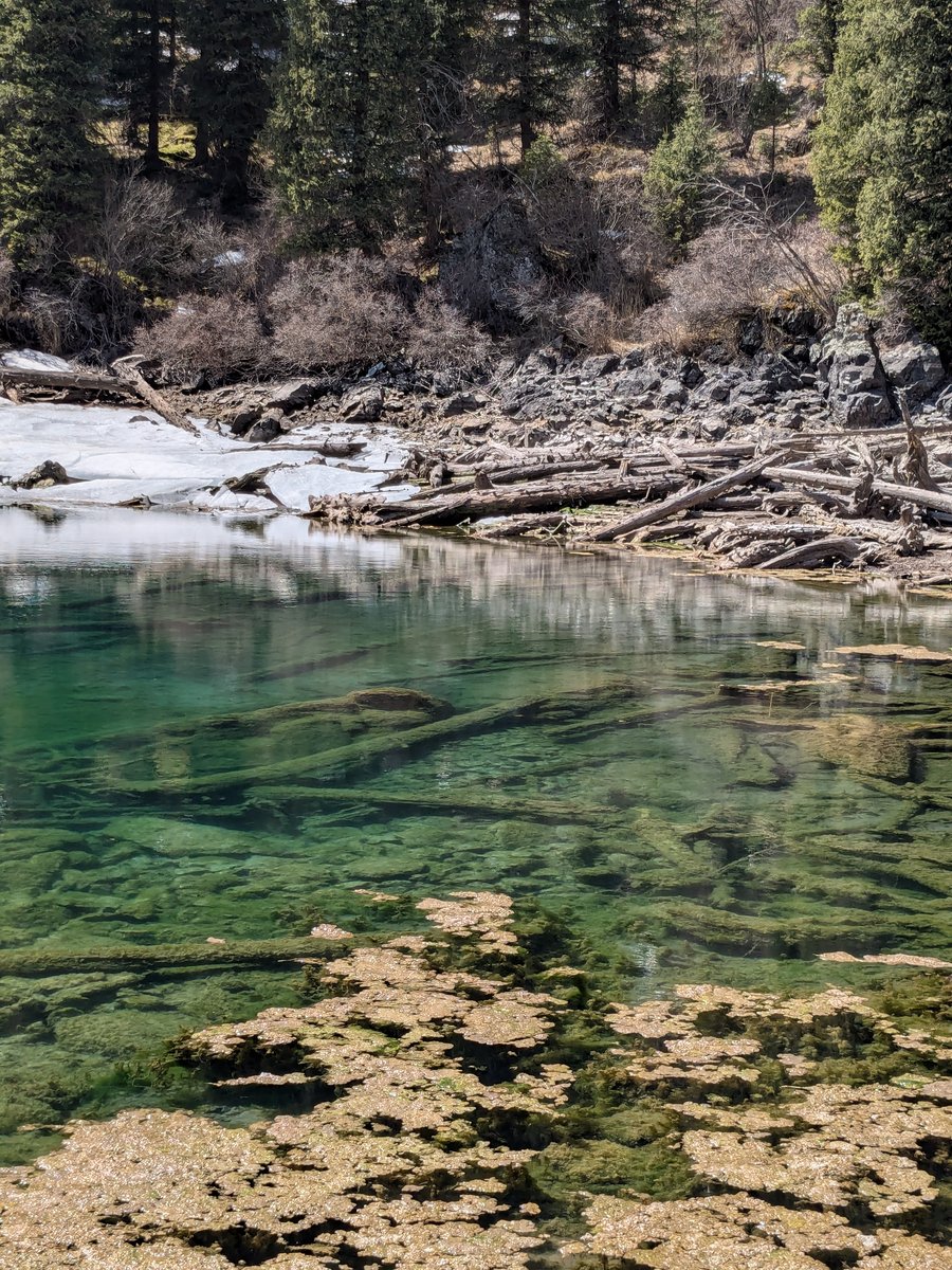 Crystal-clear emerald shallows of Kolsai Lake — distinctive water clarity