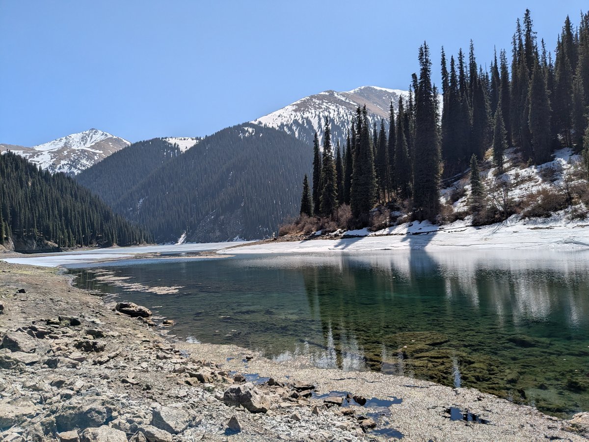 Kolsai Lake with snow-edged shore, tall pines, snowcapped mountains in spring
