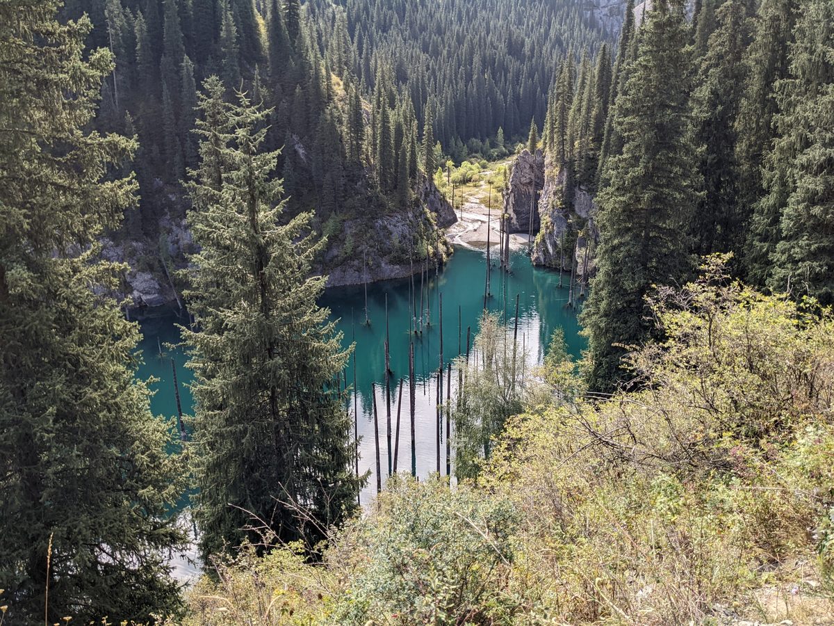 Kaindy Lake with submerged spruce trees