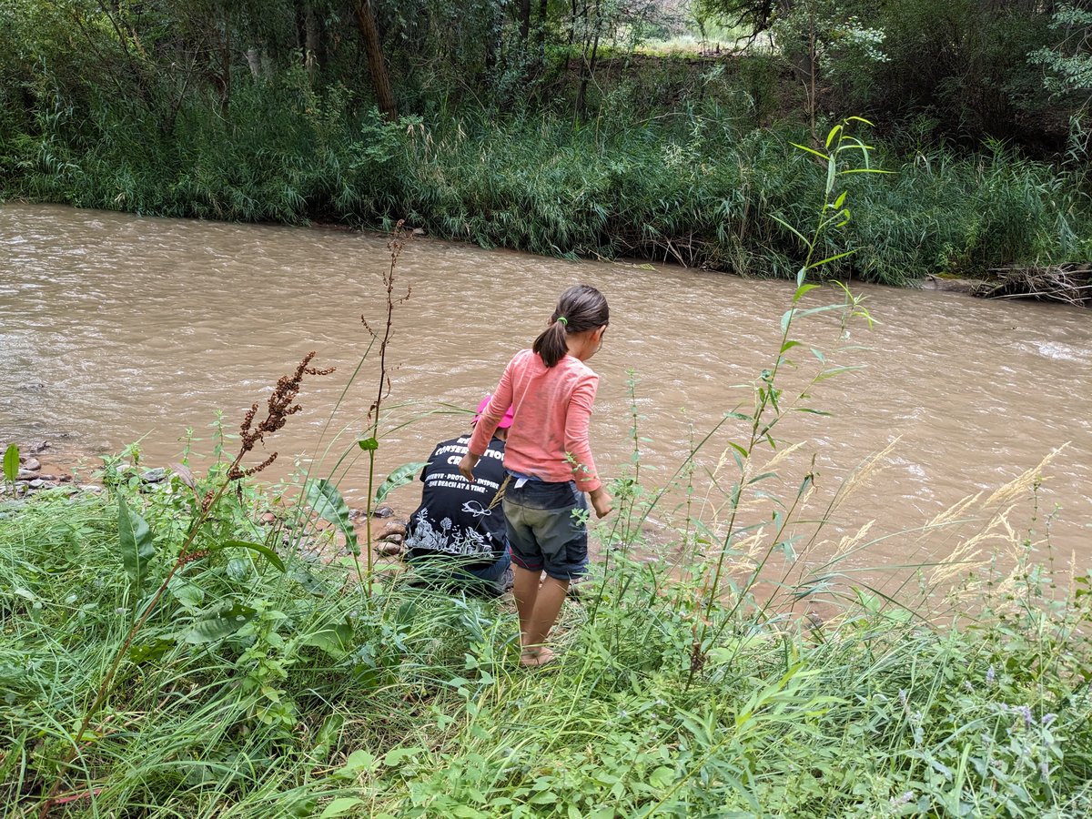 Temirlik river flowing through riverside grove — campsite location